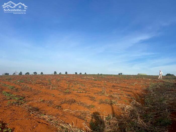 Hình ảnh 14ha view hồ tự nhiên đẹp,xe cont vào tận nơi,giá rẻ nhất khu vực 6