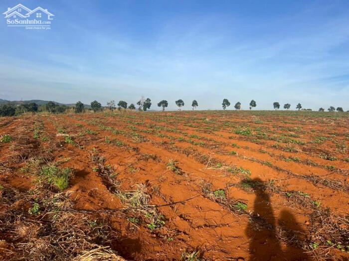 Hình ảnh 14ha view hồ tự nhiên đẹp,xe cont vào tận nơi,giá rẻ nhất khu vực 7