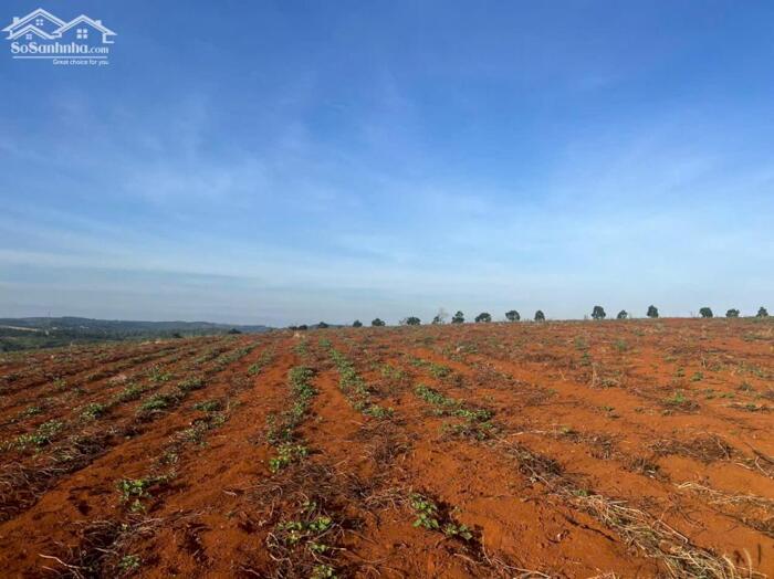 Hình ảnh 14ha view hồ tự nhiên đẹp,xe cont vào tận nơi,giá rẻ nhất khu vực 8