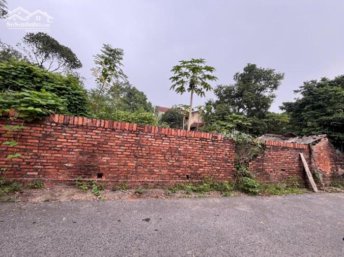 Hình ảnh Bán lô 209m2, mt 7m Hương Sơn, Bình Xuyên cạnh KCN Khai Quang lh_0987673102 0