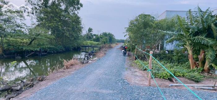 Hình ảnh Bán 4,2 công đất vườn, ôtô tận đất, gần Chợ Tân Thành, Gò Công Đông, Tiền Giang cũ giá 1 tỷ 650tr 1