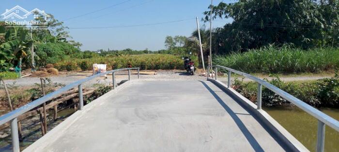 Hình ảnh Bán 4,2 công đất vườn, ôtô tận đất, gần Chợ Tân Thành, Gò Công Đông, Tiền Giang cũ giá 1 tỷ 650tr 2