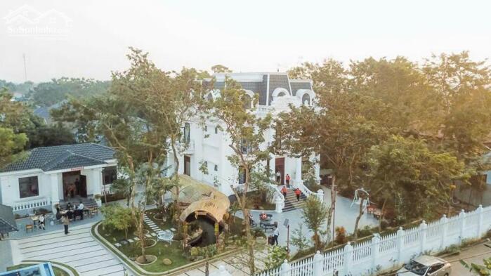 Hình ảnh Cho thuê VINA diện tích 3500m2 gần nút cao tốc IC6 Văn Quán – Đình chu, Lập thạch. 0