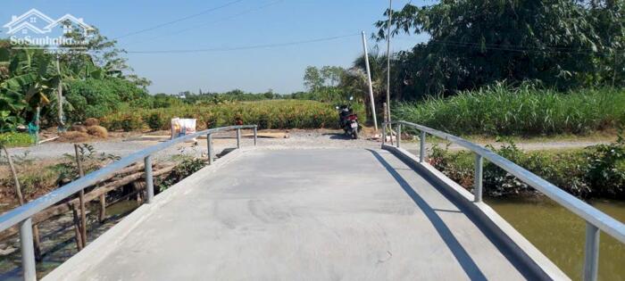 Hình ảnh Bán 4,2 công đất vườn, ôtô tận đất, gần Chợ Tân Thành, Gò Công Đông, Tiền Giang cũ giá 1 tỷ 650 triệu 2