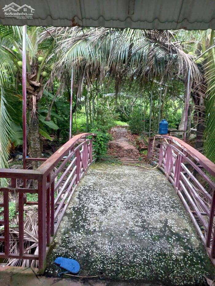 Hình ảnh Đất lúa 1000m2 có sẵn nhà vườn mt xe hơi xã Tân Lân giá 2 tỏi 5 5