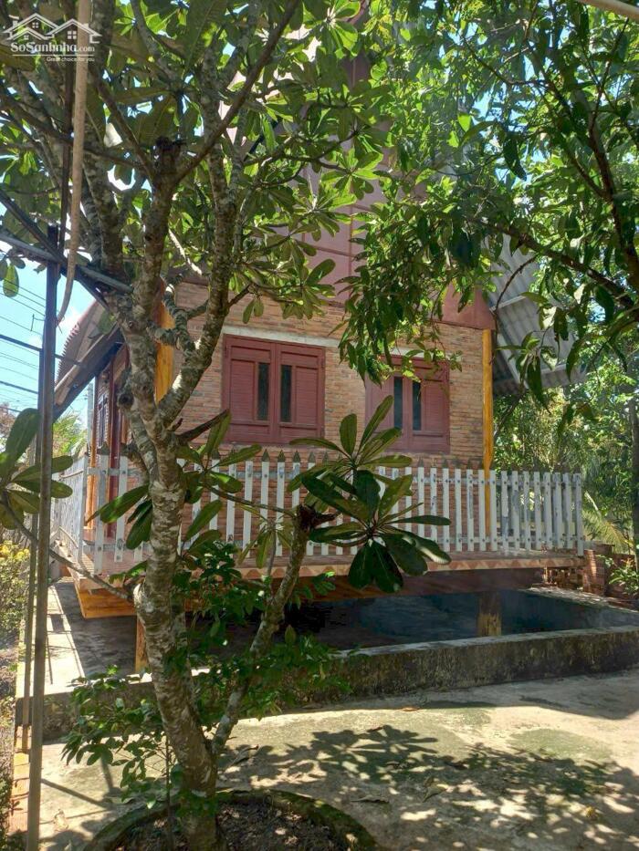 Hình ảnh Đất lúa 1000m2 có sẵn nhà vườn mt xe hơi xã Tân Lân giá 2 tỏi 5 4