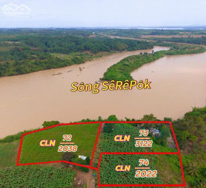 Hình ảnh Đất thành phố BMT dt 7182m2 giáp sông Serepok, đường oto tới đất, cách BMT chỉ 13km phù hợp làm farm hoặc homestay 0