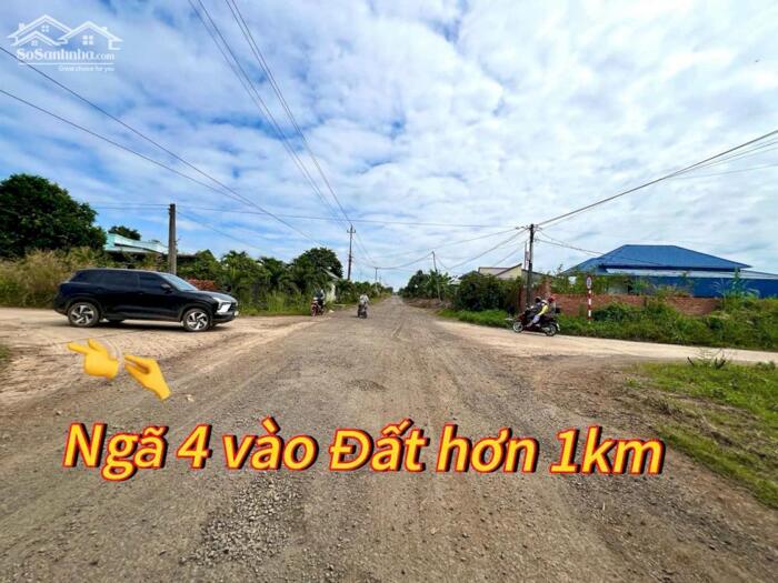 Hình ảnh Đất thành phố BMT dt 7182m2 giáp sông Serepok, đường oto tới đất, cách BMT chỉ 13km phù hợp làm farm hoặc homestay 3