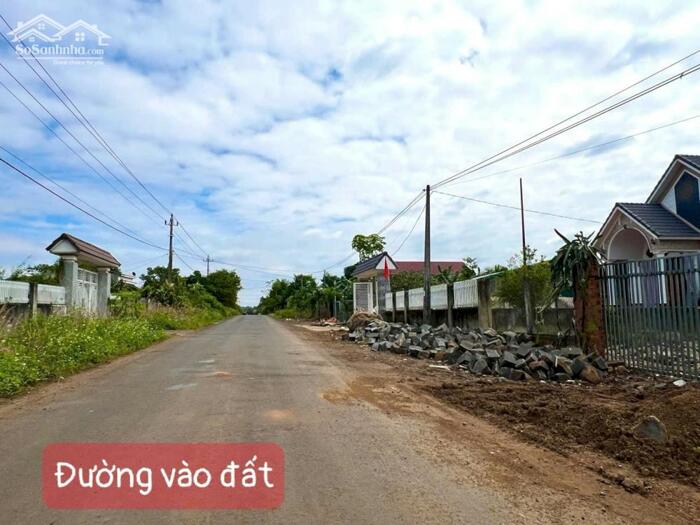 Hình ảnh Đất thành phố BMT dt 7182m2 giáp sông Serepok, đường oto tới đất, cách BMT chỉ 13km phù hợp làm farm hoặc homestay 4