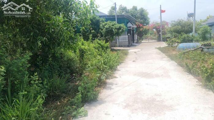 Hình ảnh bán gấp 10x21(210m2) đất thổ cư gần biển cam bình, tân phước, lagi. sổ riêng, giá rẻ 2