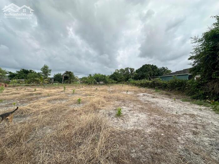 Hình ảnh BÁN ĐẤT ĐẸP GẦN BIỂN 36x40 (1440m²) – 100m² THỔ CƯ – TÂN TIẾN, LAGI 0