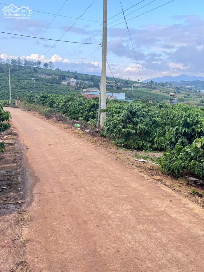 Hình ảnh ĐẤT VƯỜN CÓ VIEW TOÀN CẢNH HỒ PHÚC THỌ GIÁ TỐT 2