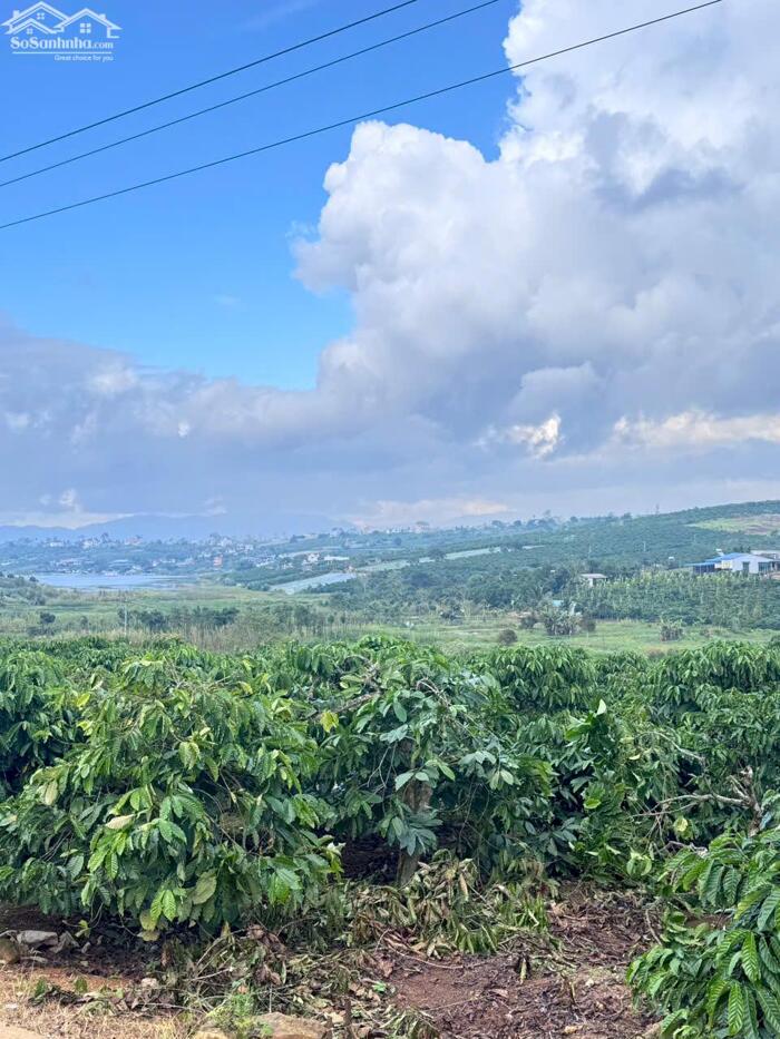 Hình ảnh ĐẤT VƯỜN CÓ VIEW TOÀN CẢNH HỒ PHÚC THỌ GIÁ TỐT 3