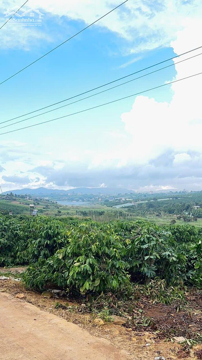 Hình ảnh ĐẤT VƯỜN CÓ VIEW TOÀN CẢNH HỒ PHÚC THỌ GIÁ TỐT 4