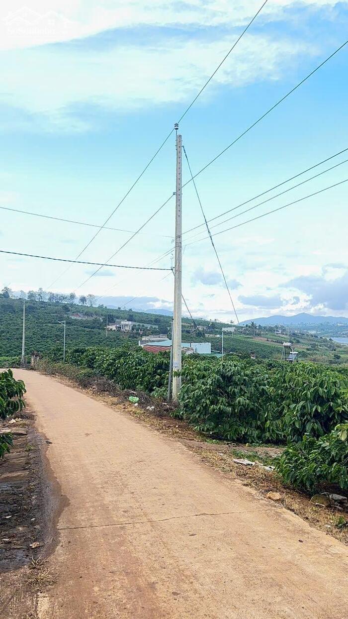 Hình ảnh ĐẤT VƯỜN CÓ VIEW TOÀN CẢNH HỒ PHÚC THỌ GIÁ TỐT 5