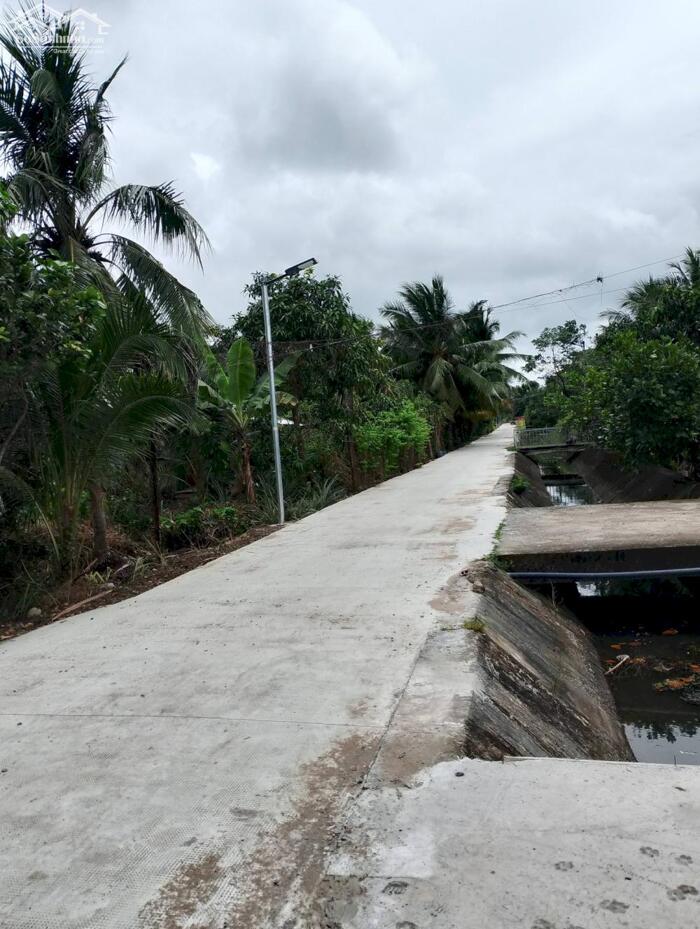 Hình ảnh bán nền 115m2, mặt tiền kênh tập đoàn phường phú tân , bến tre (vĩnh long) 2