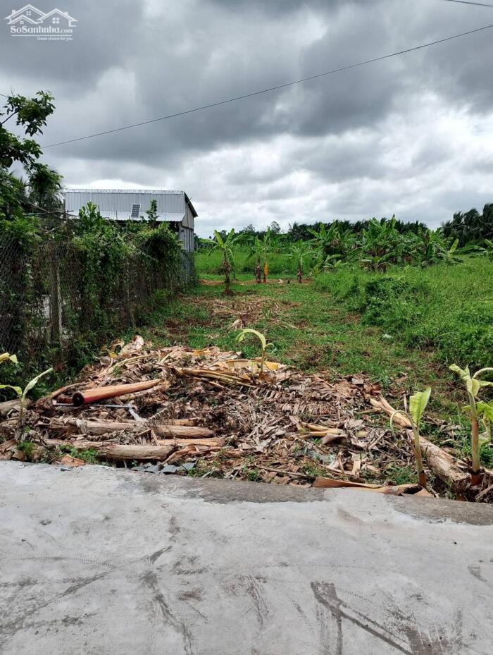 Hình ảnh bán nền 115m2, mặt tiền kênh tập đoàn phường phú tân , bến tre (vĩnh long) 0