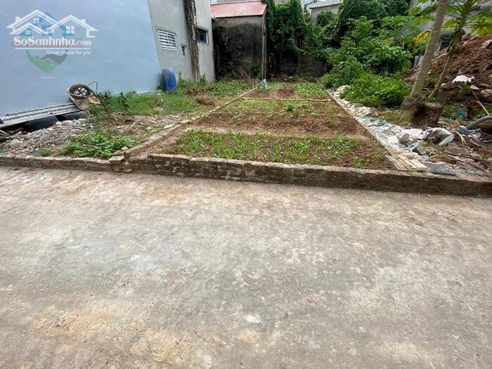Hình ảnh Bán đất Tam Hưng Thanh Oai, 42m2 ô tô, tài chính Nhỏ, Tiện Ích ngập tràn 0