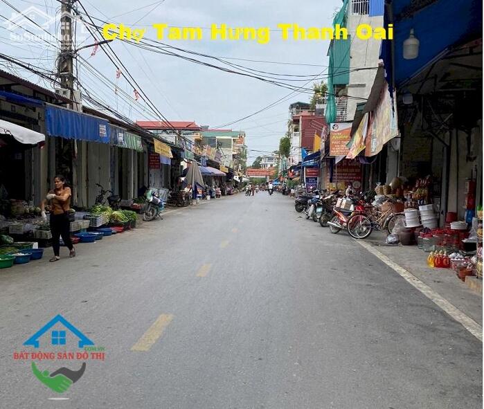 Hình ảnh Bán đất Tam Hưng Thanh Oai, 42m2 ô tô, tài chính Nhỏ, Tiện Ích ngập tràn 1