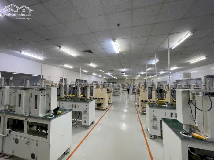 Hình ảnh Cho Thuê 1.300m2 Nhà Xưởng Trong KCN Mỹ Phước Bến Cát Bình Dương 0