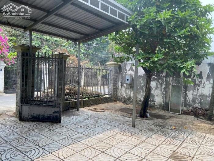 Hình ảnh Biệt thự mini mặt tiền Xuân Thới Thượng 12-Hóc Môn.Dt 15x23~352m2~10,5ty 5