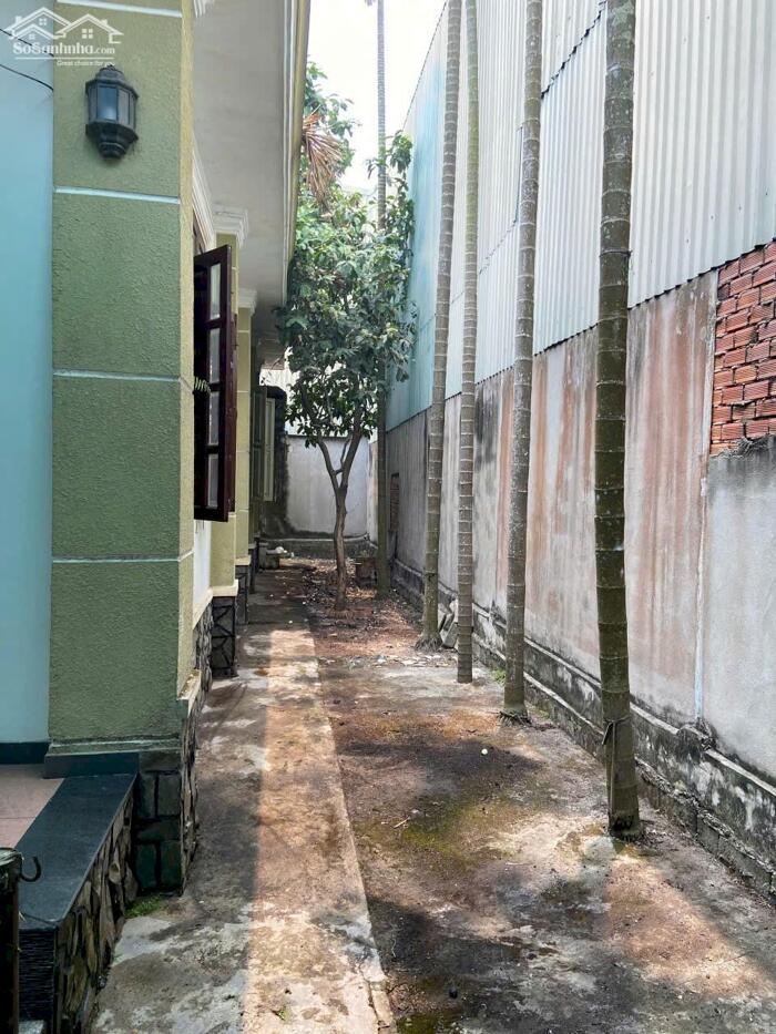 Hình ảnh Biệt thự mini mặt tiền Xuân Thới Thượng 12-Hóc Môn.Dt 15x23~352m2~10,5ty 3