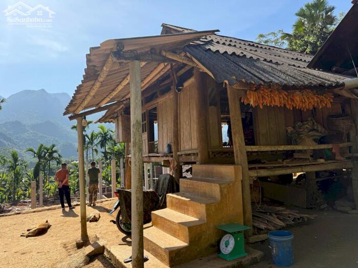 Hình ảnh 5xxtrăm có thật ạ Ngôi nha sàn gỗ tốt trên mảnh đất 1200m2 có 300m2 thổ cư 5