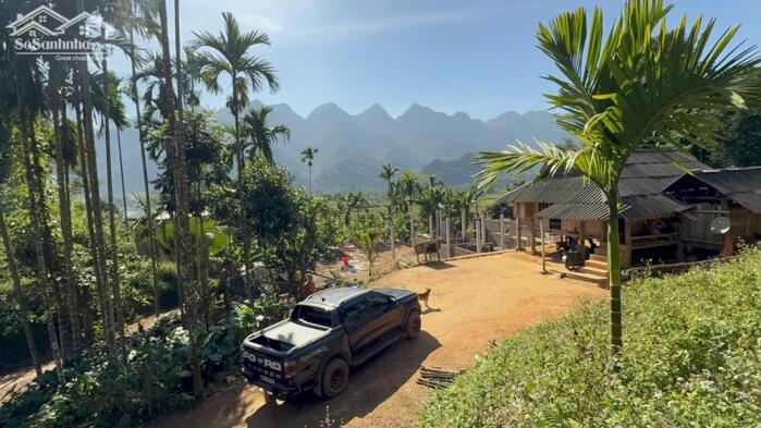 Hình ảnh 5xxtrăm có thật ạ Ngôi nha sàn gỗ tốt trên mảnh đất 1200m2 có 300m2 thổ cư 4