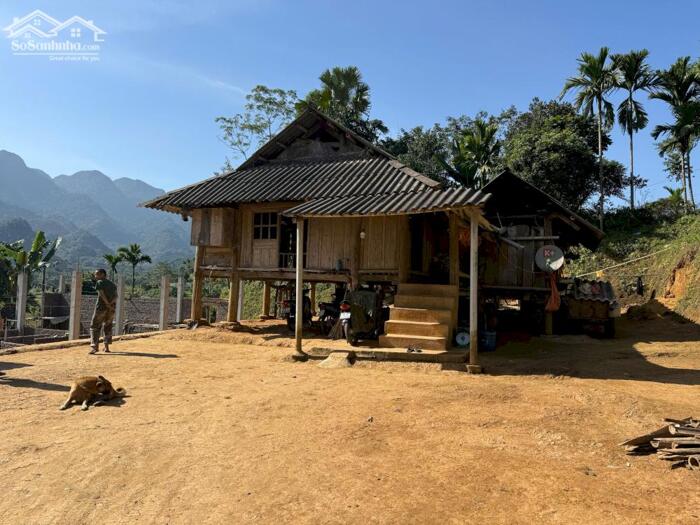 Hình ảnh 5xxtrăm có thật ạ Ngôi nha sàn gỗ tốt trên mảnh đất 1200m2 có 300m2 thổ cư 1