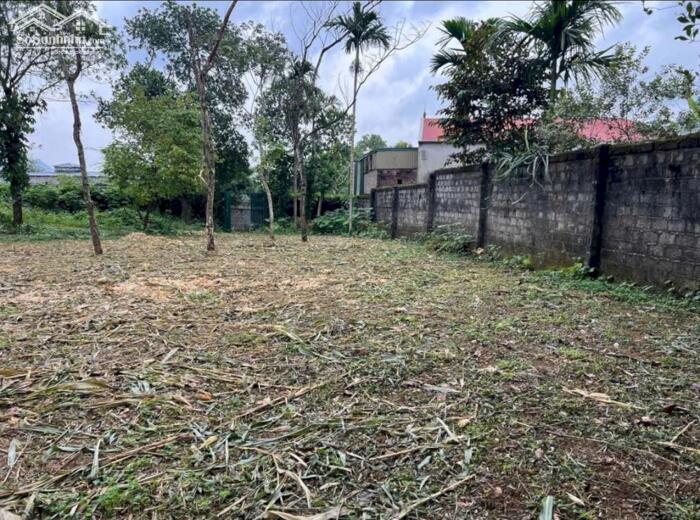 Hình ảnh LÔ ĐẸP CƯ YÊN – 1300M² GIÁ CHỈ HƠN 3TR/M²! 6