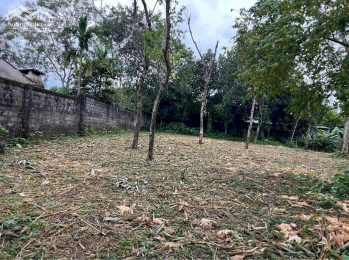 Hình ảnh LÔ ĐẸP CƯ YÊN – 1300M² GIÁ CHỈ HƠN 3TR/M²! 4