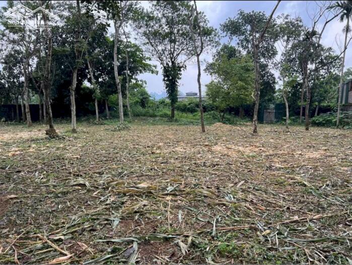 Hình ảnh LÔ ĐẸP CƯ YÊN – 1300M² GIÁ CHỈ HƠN 3TR/M²! 2