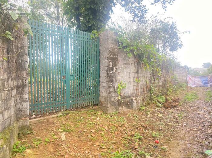 Hình ảnh LÔ ĐẸP CƯ YÊN – 1300M² GIÁ CHỈ HƠN 3TR/M²! 1