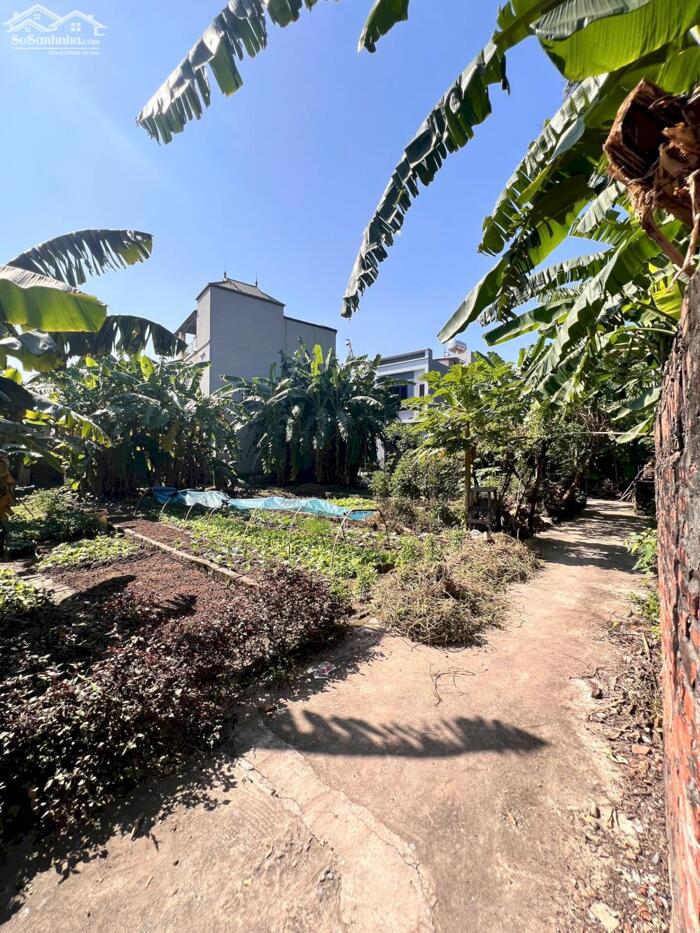 Hình ảnh Bán nhanh 70m² tại thôn Quán Khê, xã Thuận An, Hà Nội 3