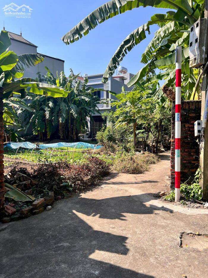 Hình ảnh Bán nhanh 70m² tại thôn Quán Khê, xã Thuận An, Hà Nội 0