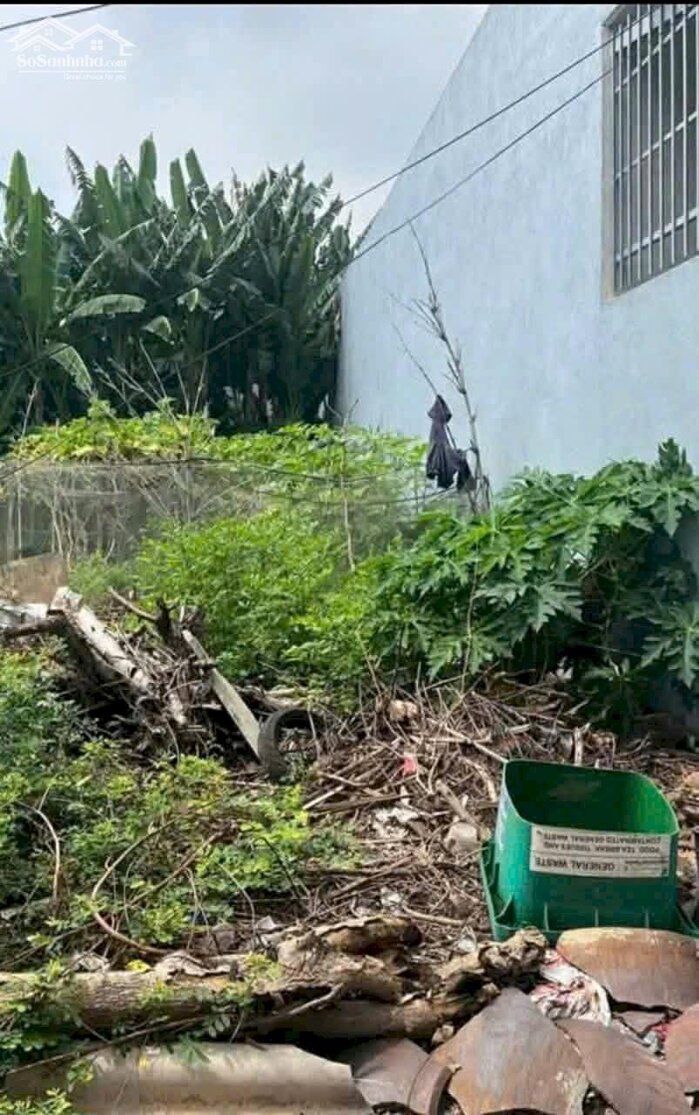 Hình ảnh Đất Long Điền - Bà Rịa ngay Ql55 và chợ Long Điền giá 1ty350 2