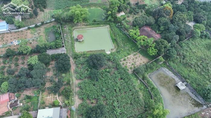 Hình ảnh BÁN 4000M² ĐẤT ĐẸP – CÓ 400M² THỔ CƯ – TÂN HÒA, HÒA SƠN, LƯƠNG SƠN 9