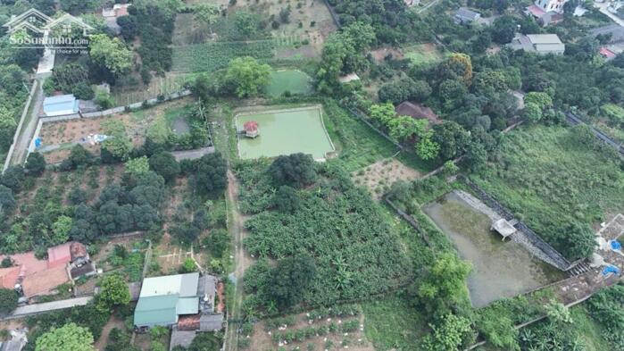 Hình ảnh BÁN 4000M² ĐẤT ĐẸP – CÓ 400M² THỔ CƯ – TÂN HÒA, HÒA SƠN, LƯƠNG SƠN 2