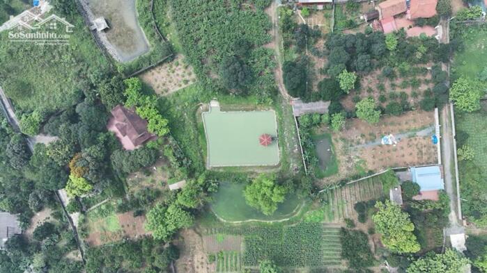 Hình ảnh BÁN 4000M² ĐẤT ĐẸP – CÓ 400M² THỔ CƯ – TÂN HÒA, HÒA SƠN, LƯƠNG SƠN 8