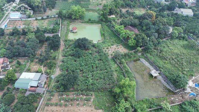 Hình ảnh BÁN 4000M² ĐẤT ĐẸP – CÓ 400M² THỔ CƯ – TÂN HÒA, HÒA SƠN, LƯƠNG SƠN 3