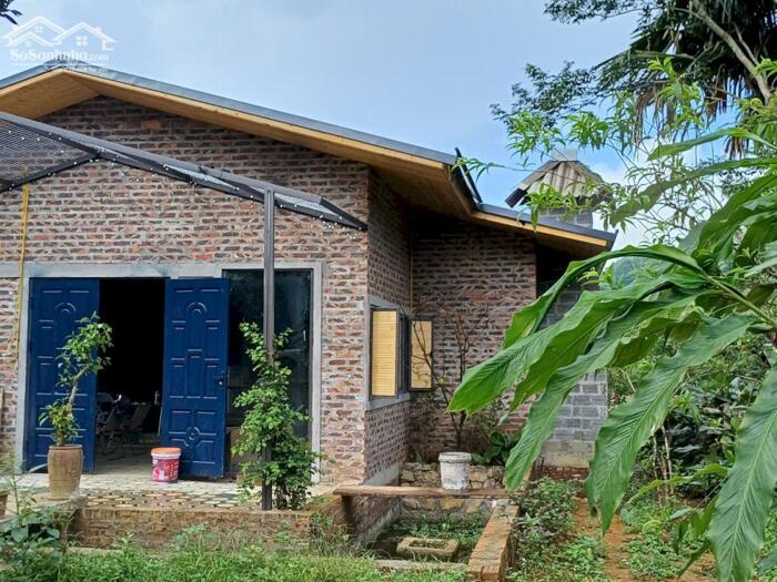 Hình ảnh SIÊU PHẨM 2240M² NHÀ VƯỜN HOÀN THIỆN – THUNG RẾCH, KIM BÔI 16