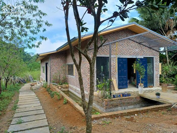 Hình ảnh SIÊU PHẨM 2240M² NHÀ VƯỜN HOÀN THIỆN – THUNG RẾCH, KIM BÔI 14