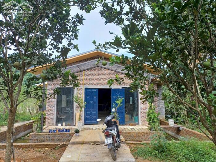 Hình ảnh SIÊU PHẨM 2240M² NHÀ VƯỜN HOÀN THIỆN – THUNG RẾCH, KIM BÔI 12