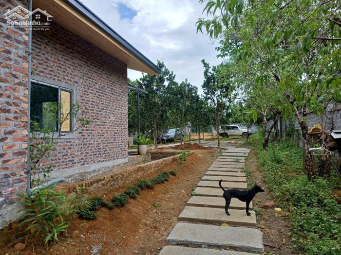 Hình ảnh SIÊU PHẨM 2240M² NHÀ VƯỜN HOÀN THIỆN – THUNG RẾCH, KIM BÔI 17