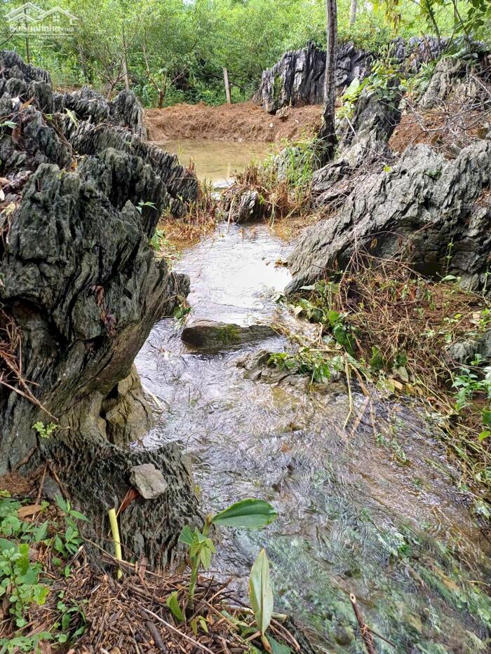 Hình ảnh SIÊU PHẨM 2240M² NHÀ VƯỜN HOÀN THIỆN – THUNG RẾCH, KIM BÔI 4