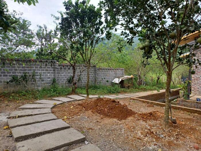 Hình ảnh SIÊU PHẨM 2240M² NHÀ VƯỜN HOÀN THIỆN – THUNG RẾCH, KIM BÔI 9