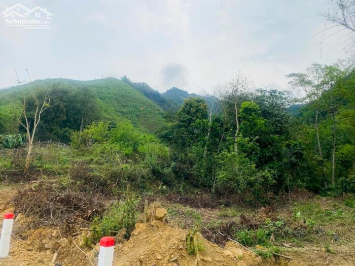 Hình ảnh BÁN LÔ ĐẤT VIEW ĐẸP – GIÁ TỐT TẠI KIM BÔI – HÒA BÌNH 5