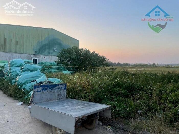 Hình ảnh Bán đất đấu giá Thiên Đông Mỹ Hưng Thanh Oai, 72m2 ô tô tránh vỉa hè, lõi Khu A KĐT Olympic 3