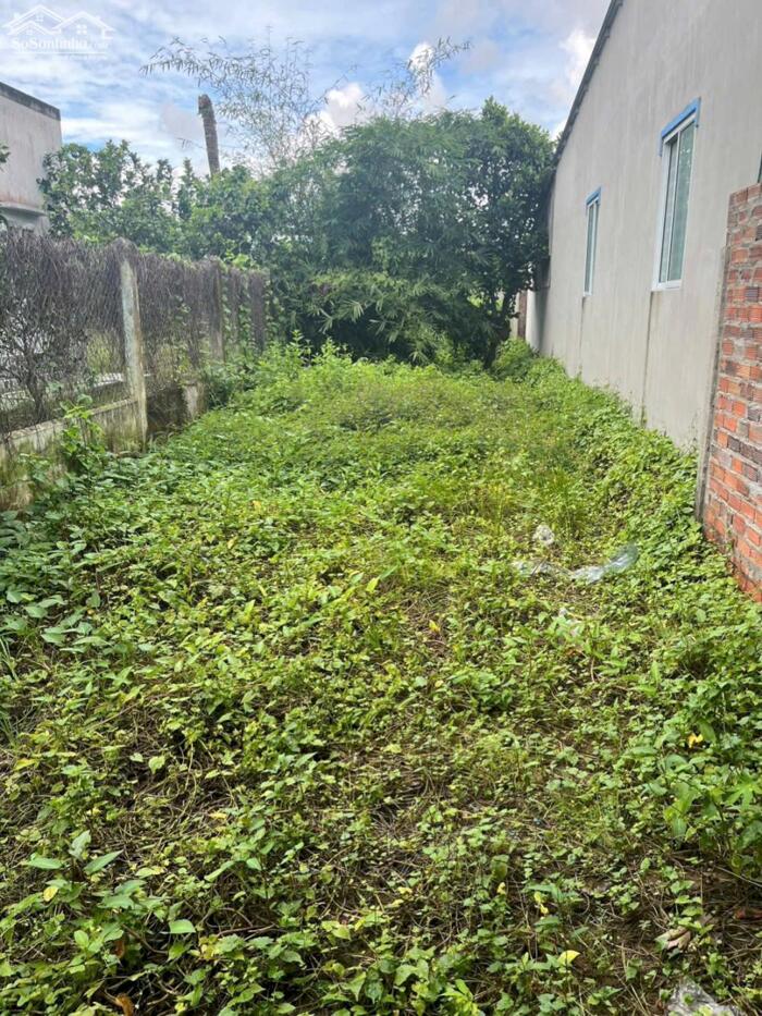 Hình ảnh bán nền giá re, mặt tiền lộ xã bình phú , gần đường gom cầu rạch miễu 2 , bến tre 1