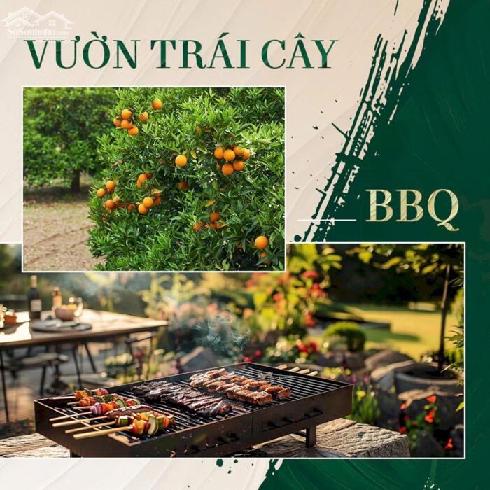 Hình ảnh The Emerald Garden View nơi thiên nhiên hiện diện trong từng tiện ích giá chỉ dưới 35tr/m2 1